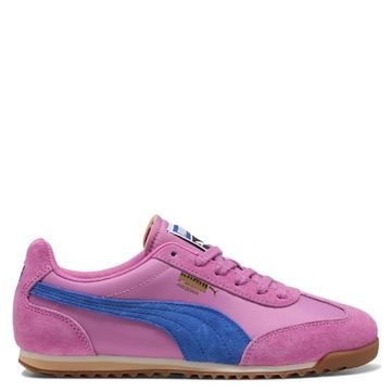 Puma W' Arizona