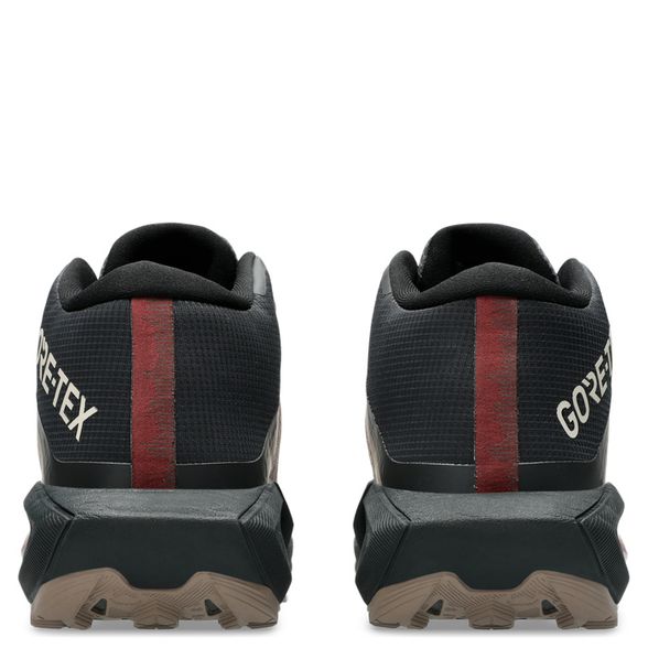 Asics GEL-TRABUCO MT GORE-TEX