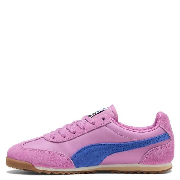 Puma W' Arizona