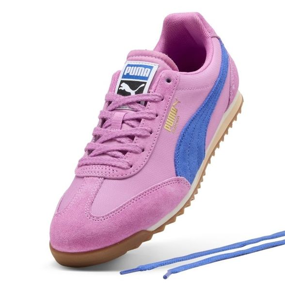 Puma W' Arizona