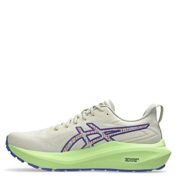 Asics M' GT-2000 13 TR