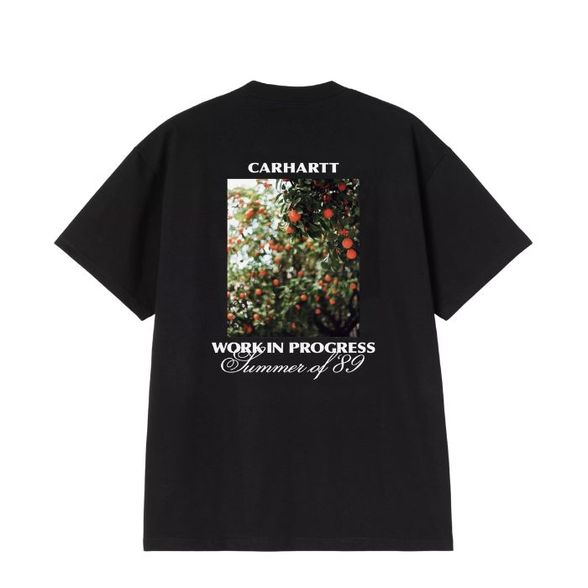 Carhartt WIP WARM VIEWS t-shirt