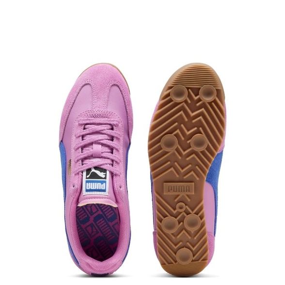 Puma W' Arizona