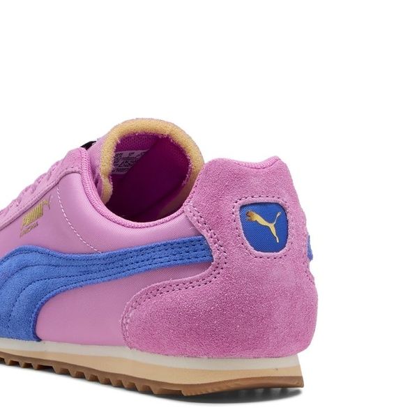 Puma W' Arizona