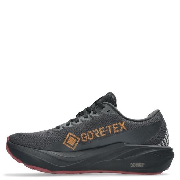 Asics GT-2000 15 GORE-TEX