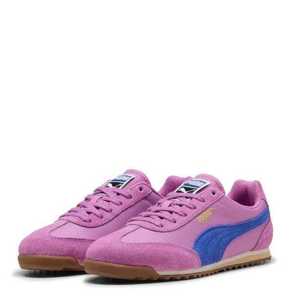 Puma W' Arizona