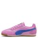 Puma W' Arizona