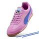 Puma W' Arizona