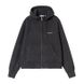 Carhartt WIP HOODED PAINTER collegepaita