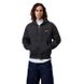 Carhartt WIP HOODED PAINTER collegepaita