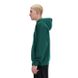 New Balance M' Small Logo hoodie