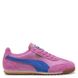 Puma W' Arizona