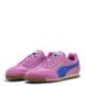 Puma W' Arizona